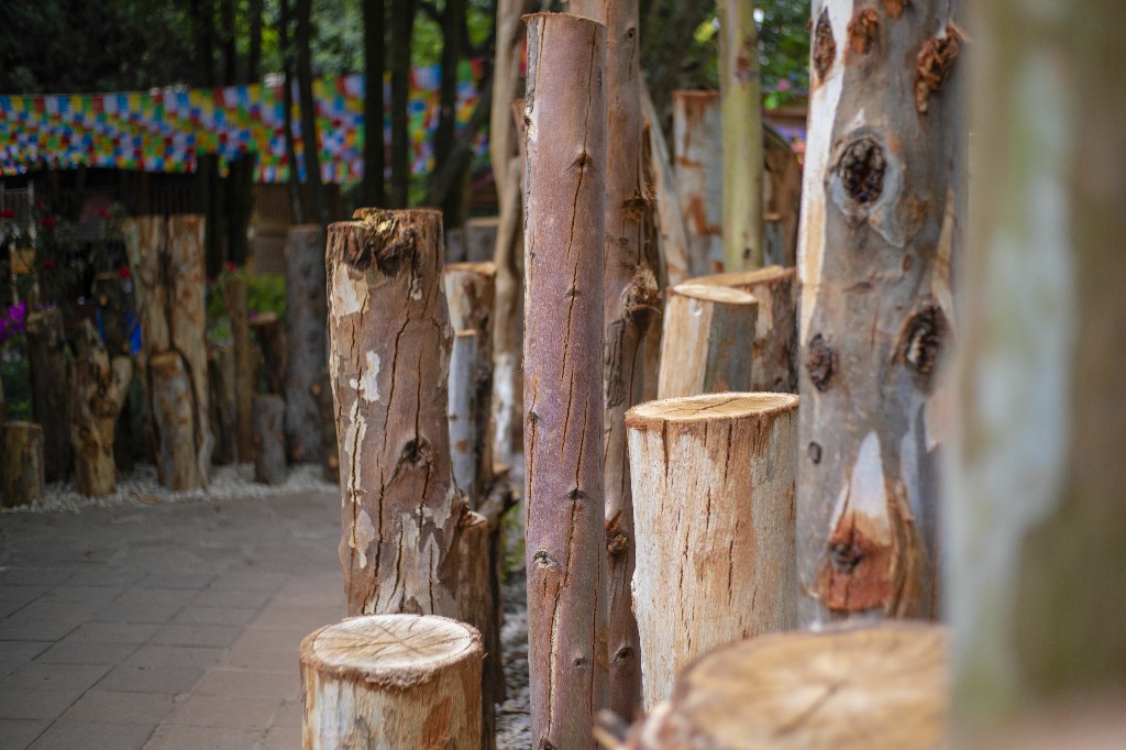 昆明-民族村-木头